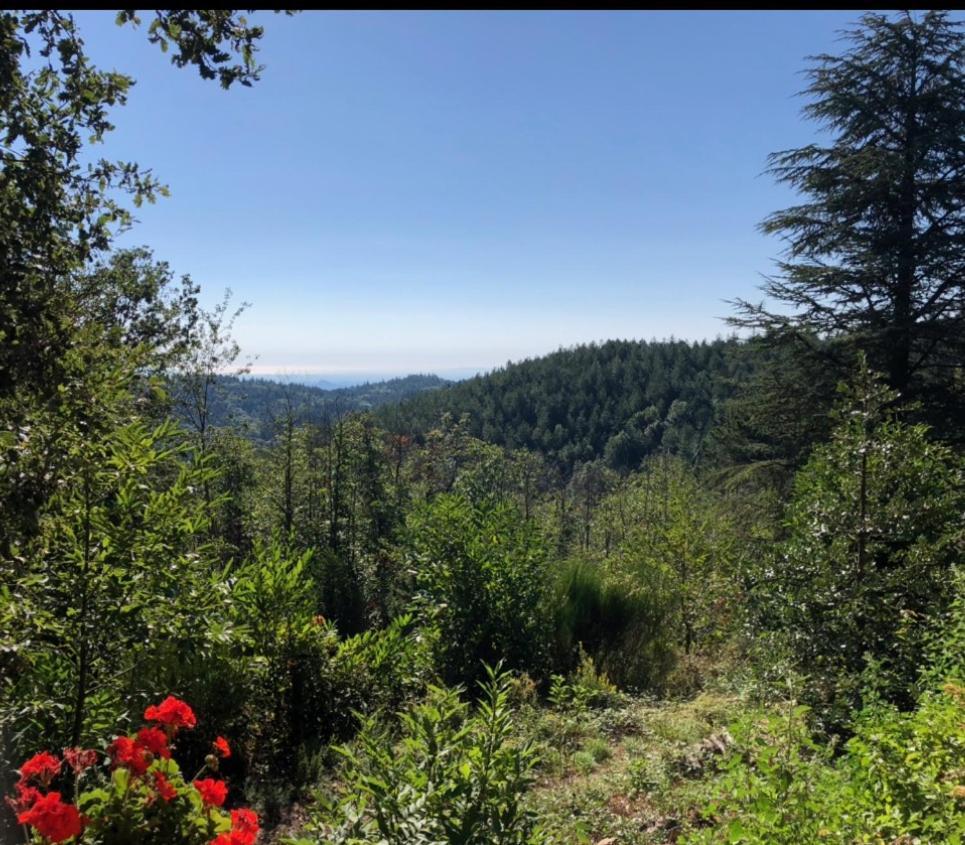 Reve D'Etoiles Bed and Breakfast Saint-Laurent-de-Cerdans Εξωτερικό φωτογραφία