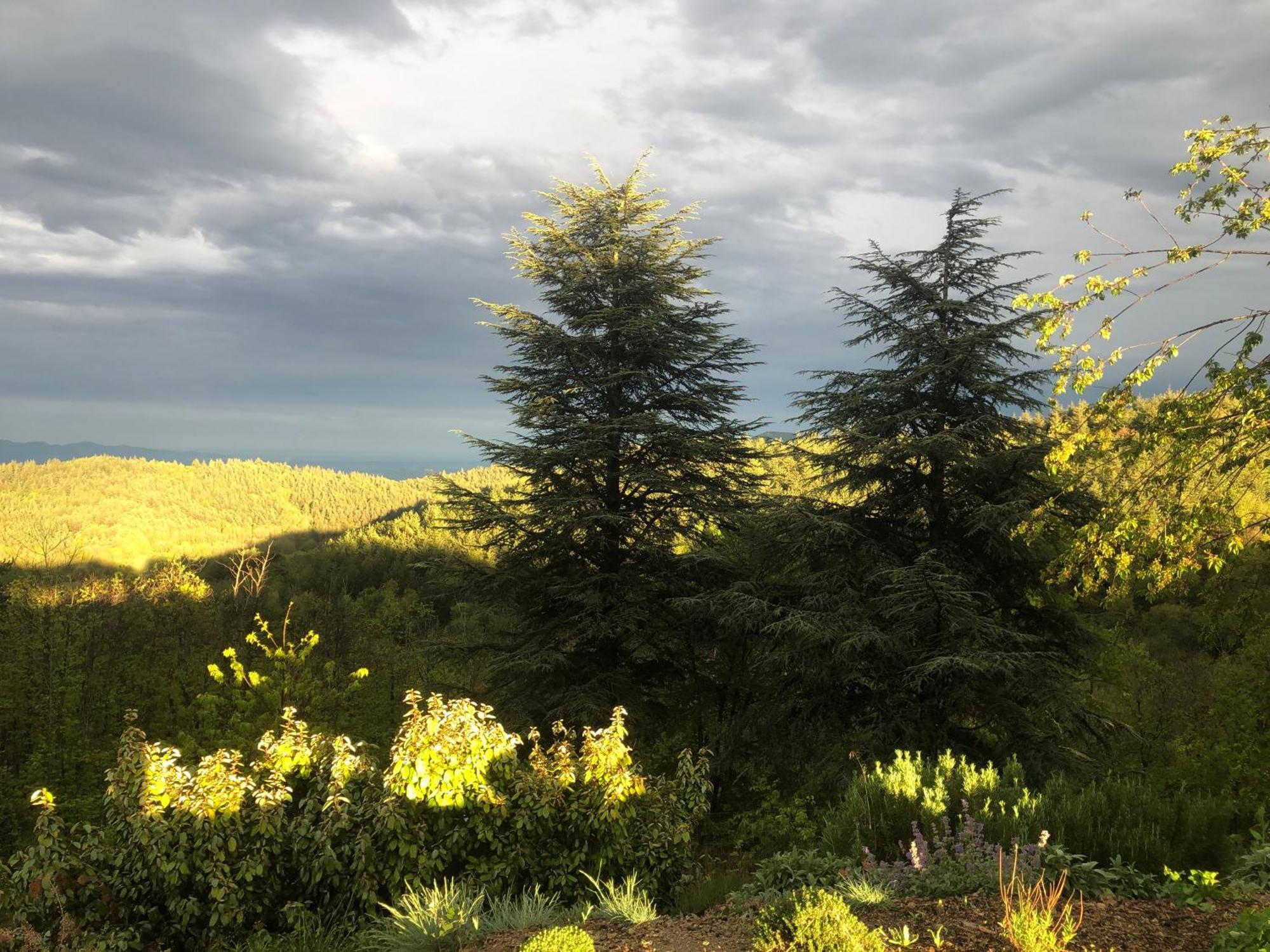 Reve D'Etoiles Bed and Breakfast Saint-Laurent-de-Cerdans Εξωτερικό φωτογραφία