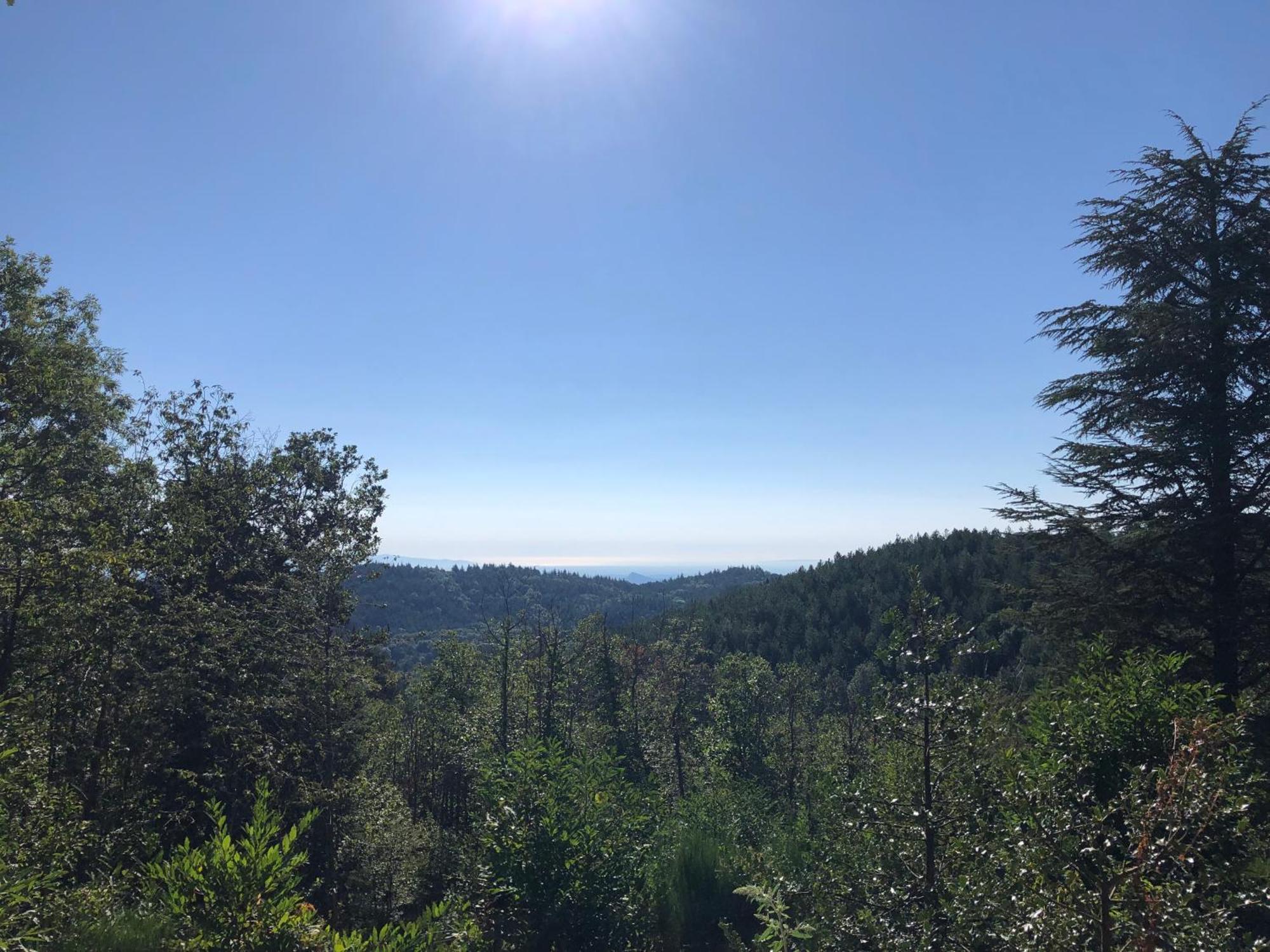 Reve D'Etoiles Bed and Breakfast Saint-Laurent-de-Cerdans Εξωτερικό φωτογραφία