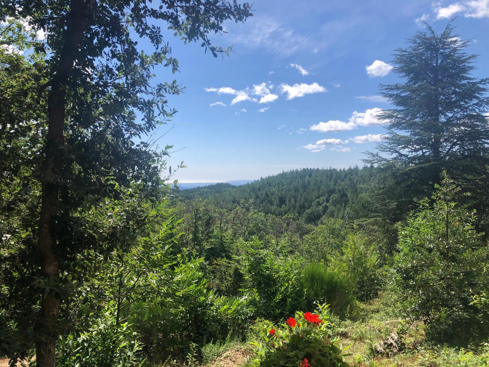 Reve D'Etoiles Bed and Breakfast Saint-Laurent-de-Cerdans Εξωτερικό φωτογραφία